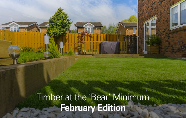 "Bear" Minimum February Edition