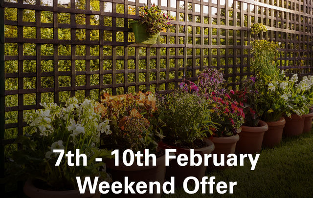 7th - 10th February Offers