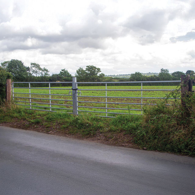 Midland Standard 7 Bar Galv Gate